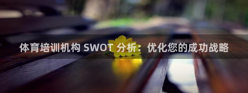 富联平台微信怎么注销：体育培训机构 SWOT 分析：