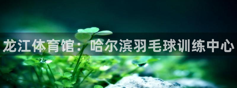 富联平台官网登录网址